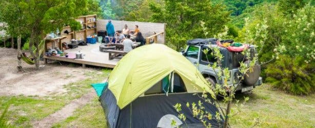 Grootvadersbosch Camping 2024