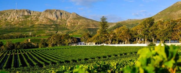 Groot Constantia