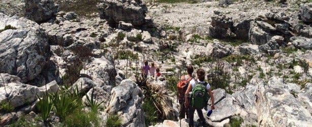 10 top hiking routes in Cape Town