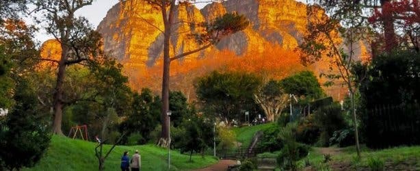 Paradise Park photoshop