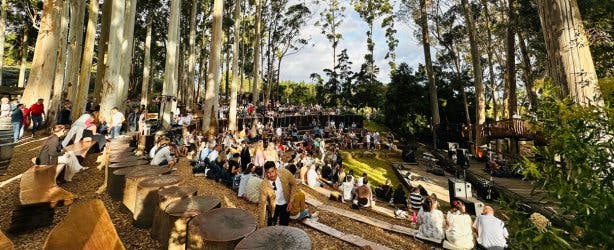 Paul Cluver concerts new 