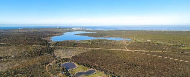 West Coast Safari 2025