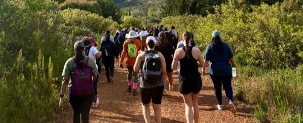 #htmlcaption0 Ways To Keep Active - Curves on Trails