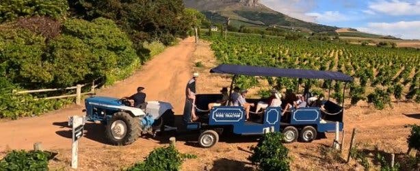 Wine Tractor 3