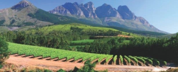 AfriCamps_Winelands_Doolhof Camp