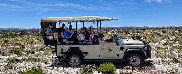 West Coast Safaris 2025