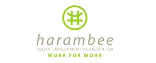 Harambee Youth Employment Accelerator