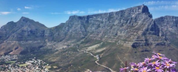 tafelberg spring lente uitzicht