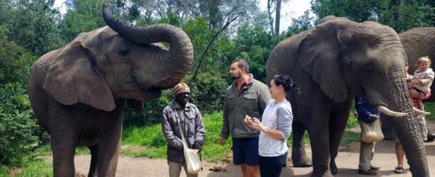 Xplore Tours CT Elephant Sanctuary 3