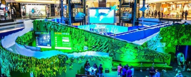 Canal Walk Ice Slide World 6