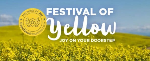 Festival of Yellow