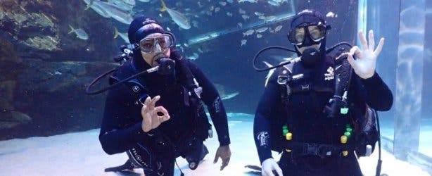 Two_Oceans_Aquarium_Dive_School_Cape_Town