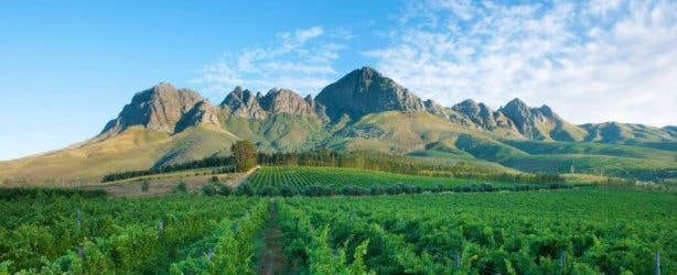 cape_town_experiences_lourensford