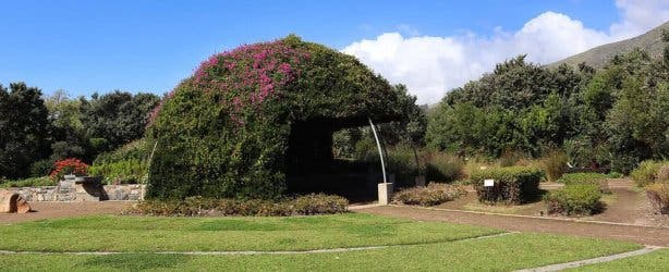 Green Point Park 2025 - @tebogo_pinpin