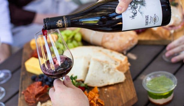 Sunflower Festival 2025