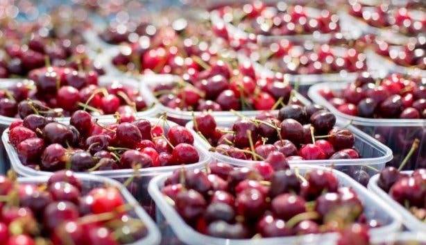 Cherry Picking Ceres Klondyke Farm