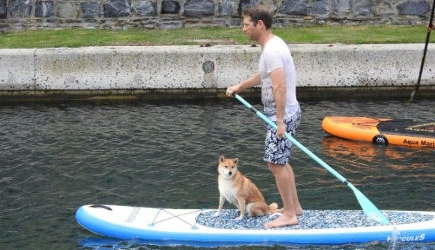 Paddle_For_Paw