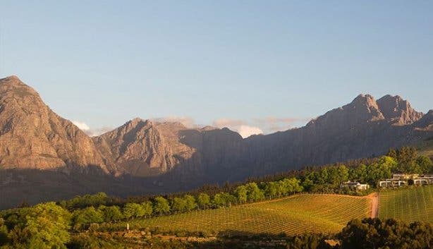 cape_town_experiences_wine