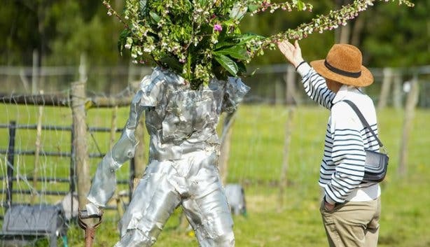 Plett Arts Festival 6