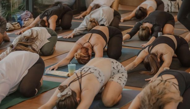 Light House Holistic 2026