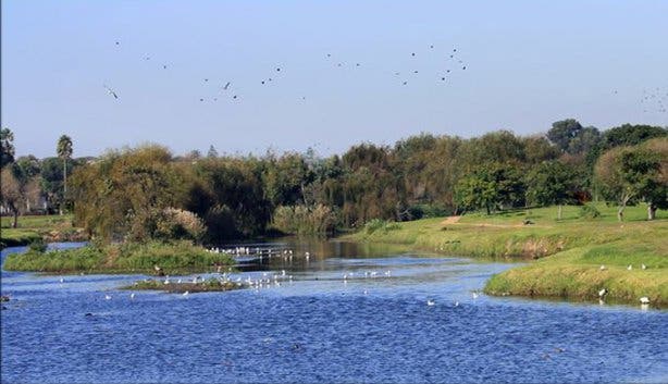 Monthly Liesbeek Clean Up - 2
