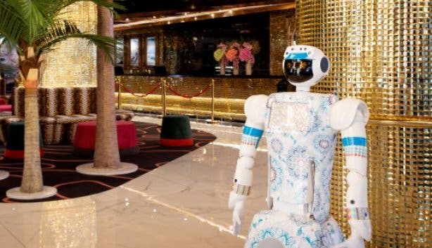 Hotel_Sky_Cape_Town_lobby_robot