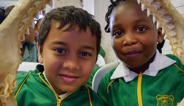 SOS Shark Education Centre 
