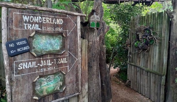 Hidden Dragon Magic Garden