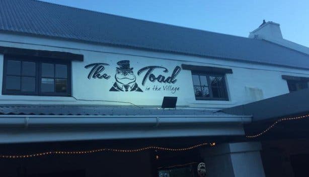 The Toad in the Village