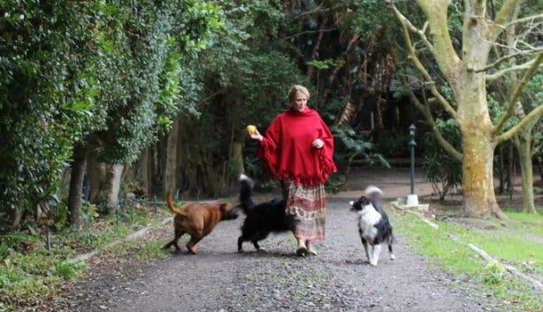 Jam Every Other Day 3