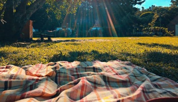 Picnic in the park