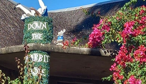 Hidden Dragon Magic Garden