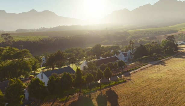 Webersburg Wine Estate