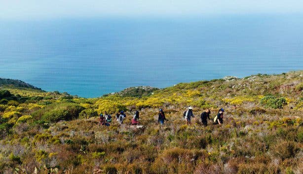 10 top hiking routes in Cape Town