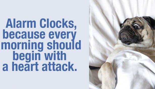 Rooster Mornings App Alarm Clock