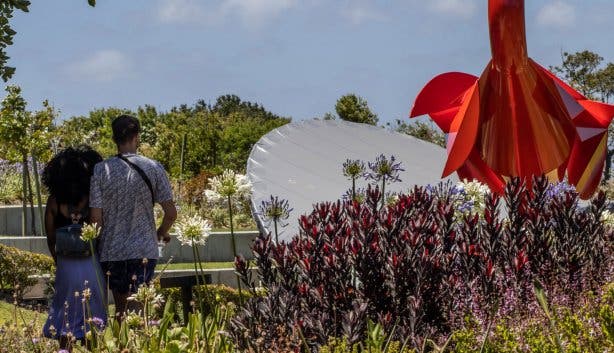 norval foundation 22