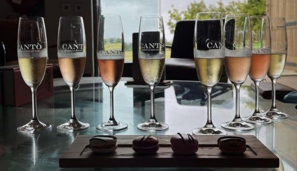 Canto Wines champagne tasting