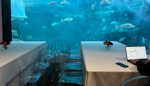 Two Oceans Aquarium venue hire