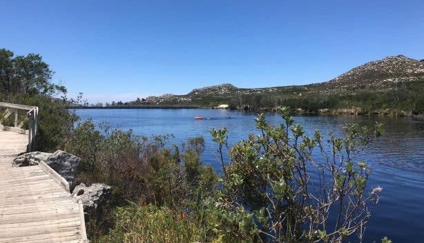 Elephant's Eye NEW 2