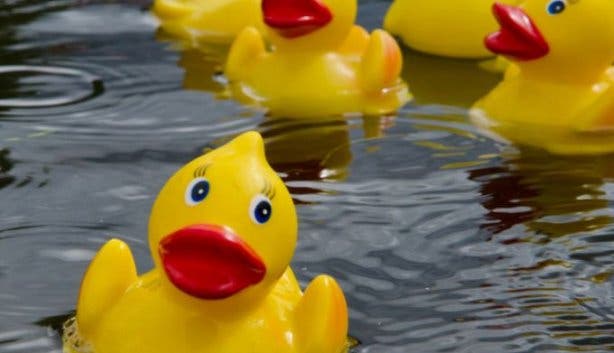 day_at_the_duck_races