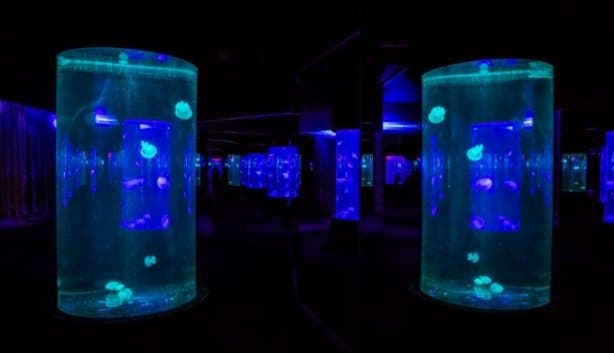 Two Ocean's Aquarium 