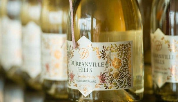 Durbanville Hills wine estate