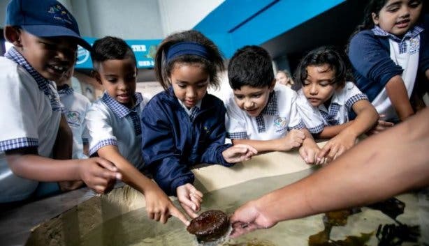 two oceans aquarium 11