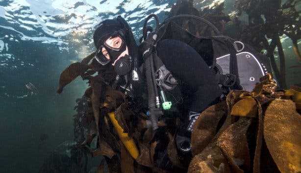 Two_Oceans_Aquarium_Dive_School_Cape_Town