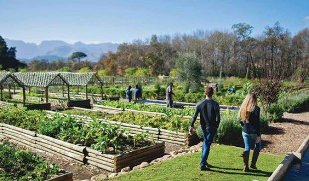 Boschendal Food Growing Workshop 2