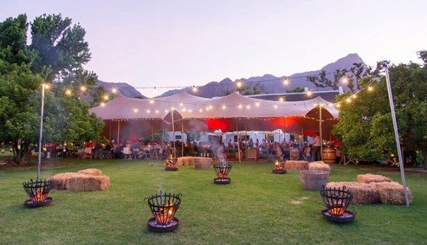 Protea Party - Anthonij Rupert - 1