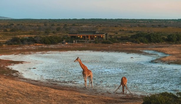 West Coast Safaris recurring event 2025