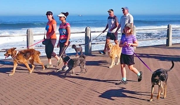 Paws on the Promenade walk