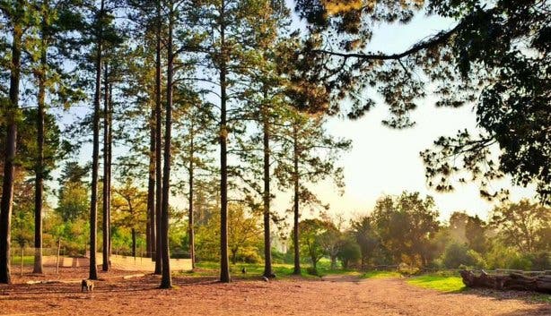 Tokai Arboretum - @kurtshaunphillips