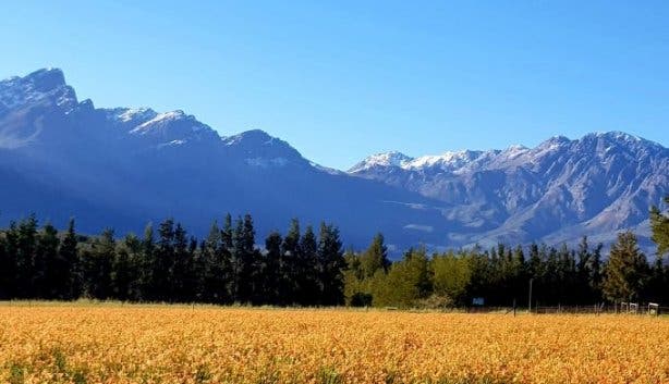 Tulbagh mountain range 